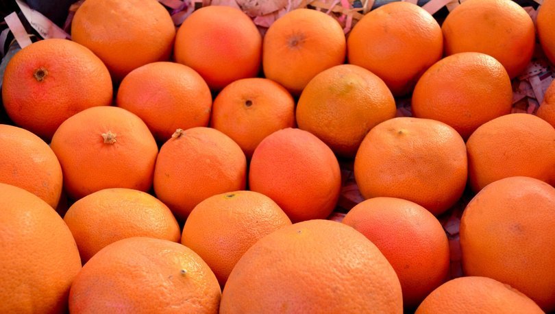 Doğu Akdeniz Türkiye'nin turunçgil ihracatına önemli katkı sunuyor