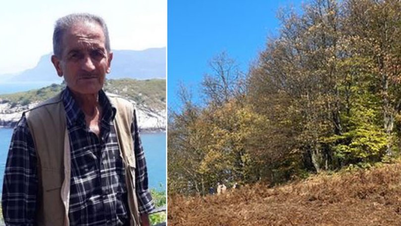 SON DAKİKA: Kesilen baş bulundu! 71 yaşındaki madencinin feci ölümü - Haberler