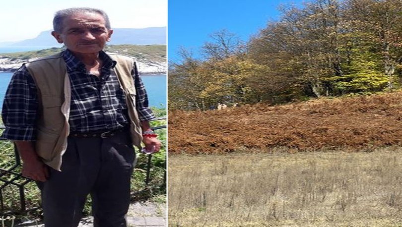 SON DAKİKA: Zonguldak'taki 'Kesik baş' cinayetinde DNA yöntemi! - Haberler