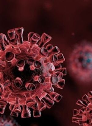 delirten hastalik ta 5 disinden oldu saglik haberleri