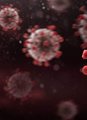 delirten hastalik ta 5 disinden oldu saglik haberleri