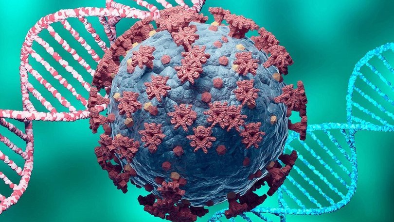 guney afrika dan mutasyon tepkisi son dakika haberleri dunya haberleri guney afrika dan mutasyon tepkisi son dakika haberleri dunya haberleri