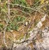 Kanyonları ile ünlü Kastamonu