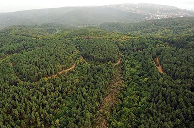 İki ilde bazı alanlar orman sınırları dışına çıkartıldı
