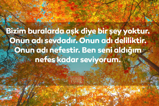merkez merkez sağlık kalp stroobants virginia kalp sağlığı 2 elma