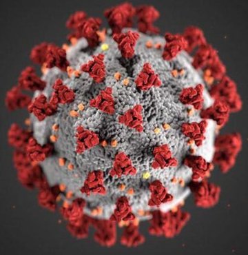 Covid-19 salgını boyunca, virüsün birçok varyantı, bilim dünyasıyla birlikte, sık sık toplumların da gündemine yerleşti. Koronavirüs’ün Omicron varyantı da bunlardan biri oldu. Koronavirüsün mutasyona uğramış hali olan omicron varyantı belirtileri değişiklik gösterebiliyor. Öldürücü etkisi düşük fakat yayılım hızı yüksek omicron varyantı ülkemizde de her geçen gün etkisini artırıyor. Peki Omicron varyantı belirtileri nelerdir? Omicron varyantı nasıl anlaşılır, kaç gün sürer? İşte Omicron varyantı hakkında bilgiler...