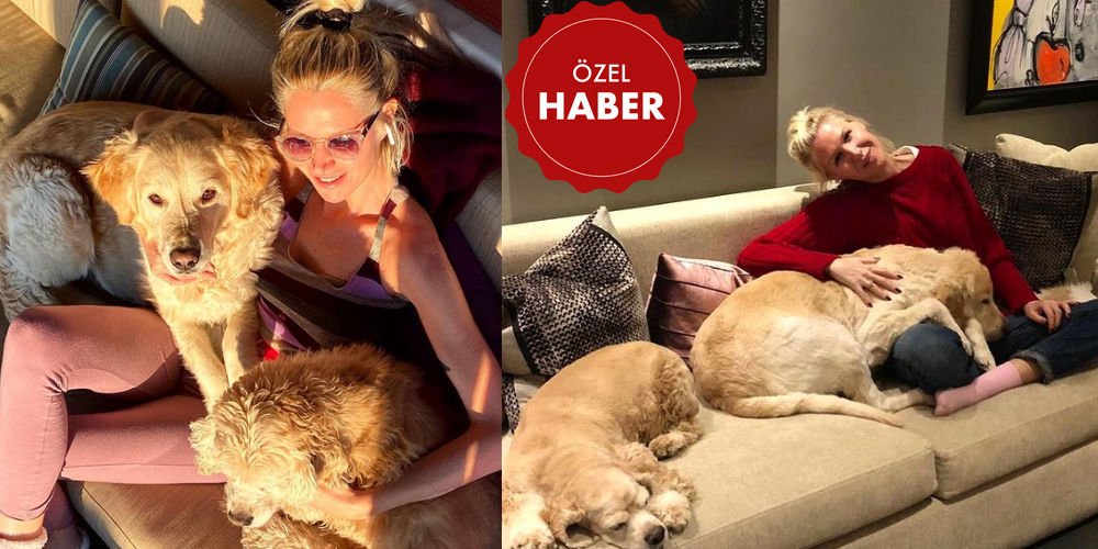 'Yaşadığım müddetçe sokak hayvanları için savaşacağım'