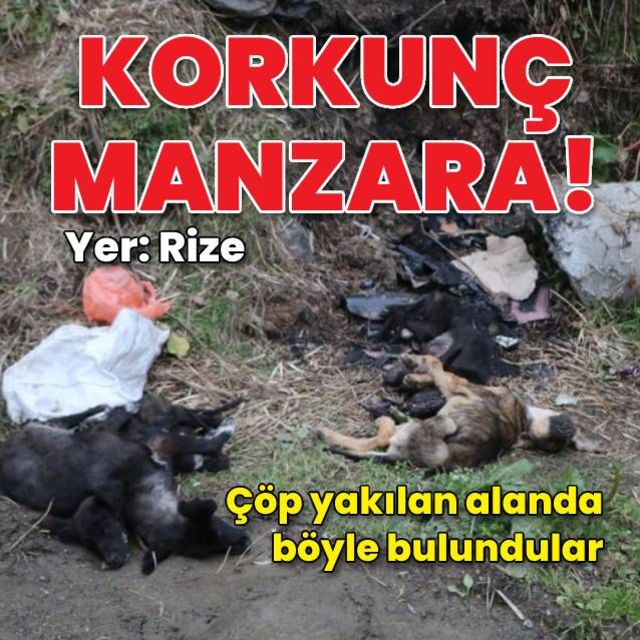 Korkunç manzara! Çöpte bulundular