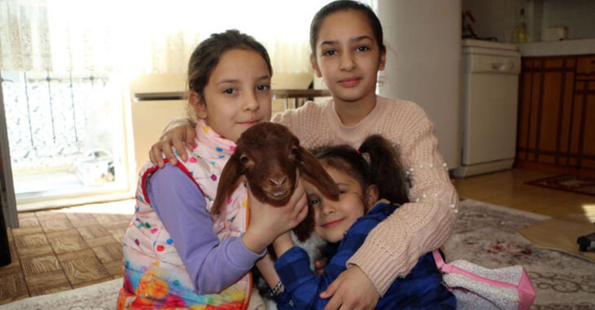 20 günlük �Kahve�ye bebek gibi bakıyorlar