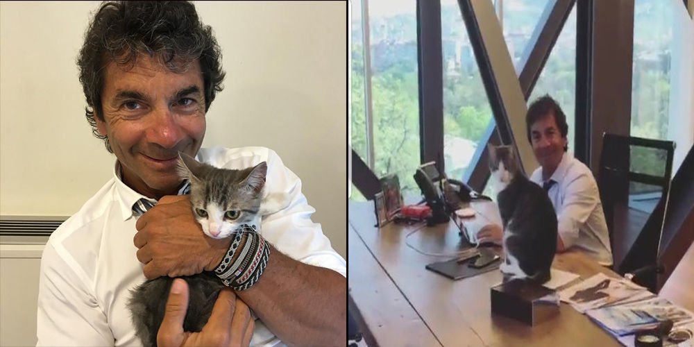 Hakko'nun kedi aşkı...