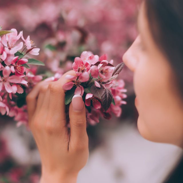 Koku duyunuzu geliştirecek 5 basit yol