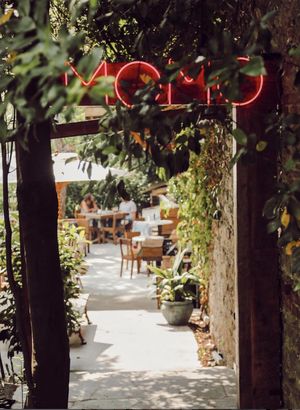 Tesettürlü kadınlar Beşiktaş'ta restorana alınmadı iddiasına soruşturma - Haberler