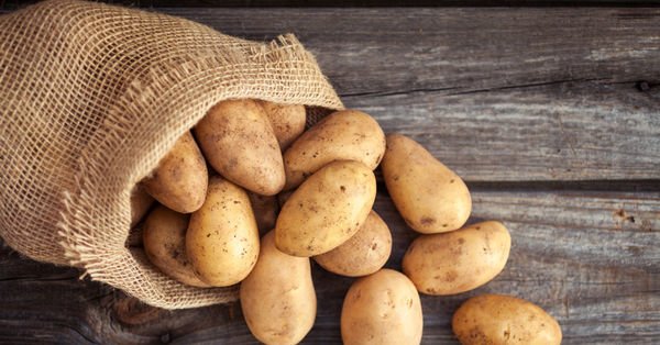 Patates kızartması porsiyonlarındaki büyüme sağlığı tehdit ediyor