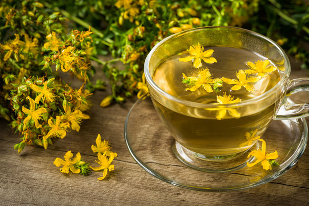 Sarı Kantaron Çayı Nedir, Nasıl Demlenir? Sarı Kantaron Çayı Neye İyi Gelir ve Faydaları Nelerdir?