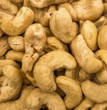 Doğada var olan birçok yemiş, meyveler ve sebzeler insan sağlığına önemli ölçüde katkı sunarlar. Doğada yetişen bitkilerden günlük enerji ve vitamin ihtiyaçlarımızı karşılamaktayız. Kaju fıstığı da bu bitkilerden biridir ve sağlığa faydaları saymakla bitmez. Tam bir vitamin ve sağlıklı yağ deposu olma özelliği taşıyan kaju fıstığı lezzetli tadıyla da birçok insanı cezbetmektedir. Hem tadı hem de yararlarıyla gözde kuru yemişler arasında yer alan kaju fıstığı kavrularak tüketilebildiği gibi çiğ olarak da yenilmesi mümkün olan besinlerdendir. Çiğ halinin tüketimi uzmanlar tarafından daha sağlıklı olarak nitelendirilmektedir. 