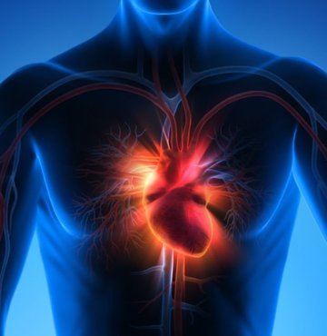 Kalp hastalıkları, tüm dünyada olduğu gibi Türkiye