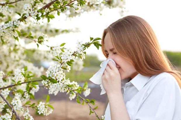 Bahar alerjisi artık mevsimsel değil 

