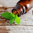 NANE YAĞININ SA&Ccedil;A FAYDALARI