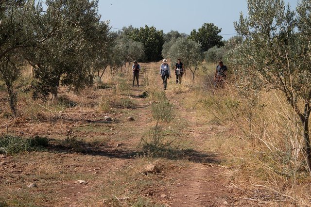 Bergama'da amfora üretim yeri keşfedildi