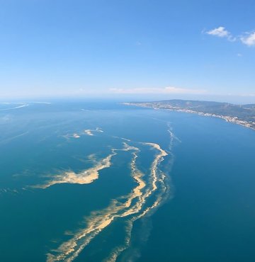 Çevre, Şehircilik ve İklim Değişikliği Bakanlığınca, ekosistemin korunması, müsilaj ve kirlilik problemlerinin oluşmadan önlenmesi için Marmara Denizi