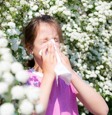 Baharın gelişi, saman nezlesi olarak bilinen alerjik riniti tetikliyor. Dünyada en sık rastlanan alerjik hastalıklardan birinin bahar nezlesi olduğunu söyleyen ve kontrol edilmediğinde astıma neden olabildiğini belirten Dr. Öğr. Üyesi Fuat Bulut, bahar nezlesi alerjenlere bağlı mevsimsel gelişen kronik inflamasyon olup çocuklardaki en sık görülen 5’inci kronik hastalıktır. Daha çok polen alerjisinin neden olduğu mevsimsel alerjik rinitte şikayetler ilkbahar ve sonbahar aylarında ortaya çıkmaktadır” dedi
