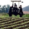 Tarımda üretici enflasyonu rekor kırdı