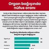 Organ bağışında nüfus oranı