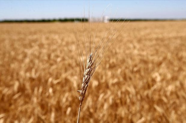 Rusya ve BM'den 'tahıl krizi' zirvesi
