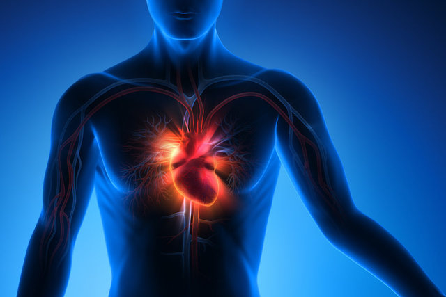 bilgi sistemlerinin güçlendirilmesi kalp sağlığı kanada hipertansiyon konusuna genel bakış