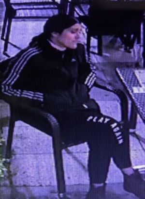 Son dakika: Parktaki kadın cinayetinde soruşturma tamamlandı!