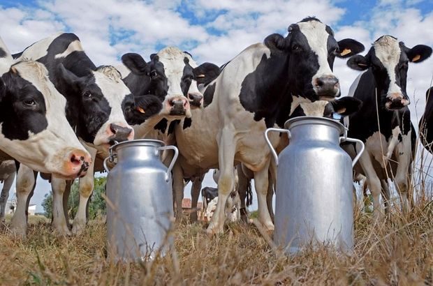Nisanda süt üretimi azaldı