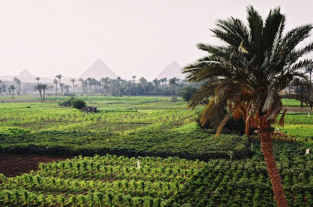 AB'den Mısır'a 3 milyar euroluk tarım desteği