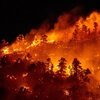 Dünya tarihindeki en eski orman yangınının kalıntıları Galler'de tespit edildi
