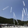 "Kuzey Kore'de salgına Güney Kore'den gelen balonlar neden oldu"