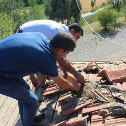 Malatya'da okul çatısının onarımı yavru kuşlar için durduruldu