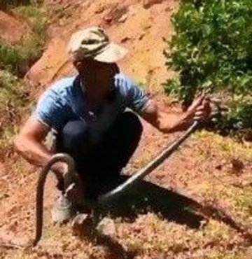 Elazığ’da bir kişi dağlık alanda gördüğü yaklaşık 3 metrelik yılanı yakaladıktan sonra sevdi, daha sonra doğaya tekrar bıraktı