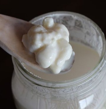 Kefir, besin değeri yüksek, bağırsak sağlığını destekleyici ve bağışıklığı güçlendirici bir içecek. Beslenme ve Diyet Uzmanı Şengül Sangu Talak, bir bardak kefirle gelen 8 faydayı anlatarak, önerilerde bulundu; meyvelerle tatlandırabileceğiniz üç sağlıklı tarif verdi