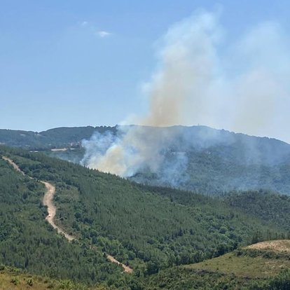 Son dakika: Çanakkale Biga'da orman yangını çıktı!