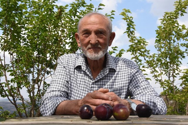 Boş araziydi... 15 yılda cennete çevirdi