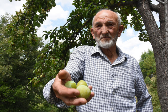 Boş araziydi... 15 yılda cennete çevirdi