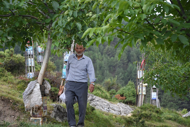 Boş araziydi... 15 yılda cennete çevirdi