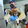 ABD’de 4 bin 'Beagle' kobay olmaktan kurtarıldı