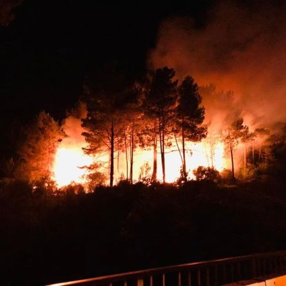 Sinop'ta çıkan orman yangını korkuttu