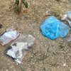 Manisa'da 15 kedi ile 1 köpek ölü bulundu