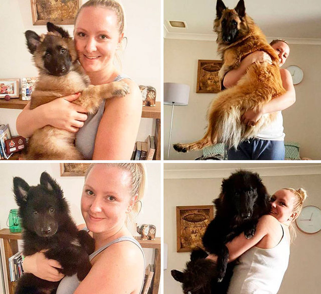 İşte sahipleriyle birlikte büyüyen köpeklerin öncesi ve sonrası