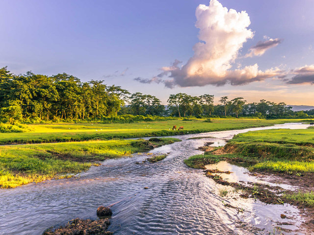 Chitwan Milli Parkı (Nepal) 