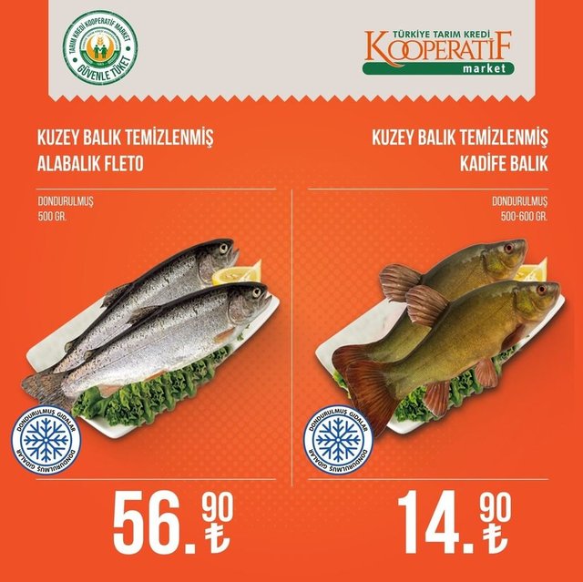 Tarım Kredi Market indirimli ürünler kataloğu listesi: Ağustos 2022 Tarım Kredi Kooperatif Marketlerinde neler ve hangi ürünler indirime girdi?