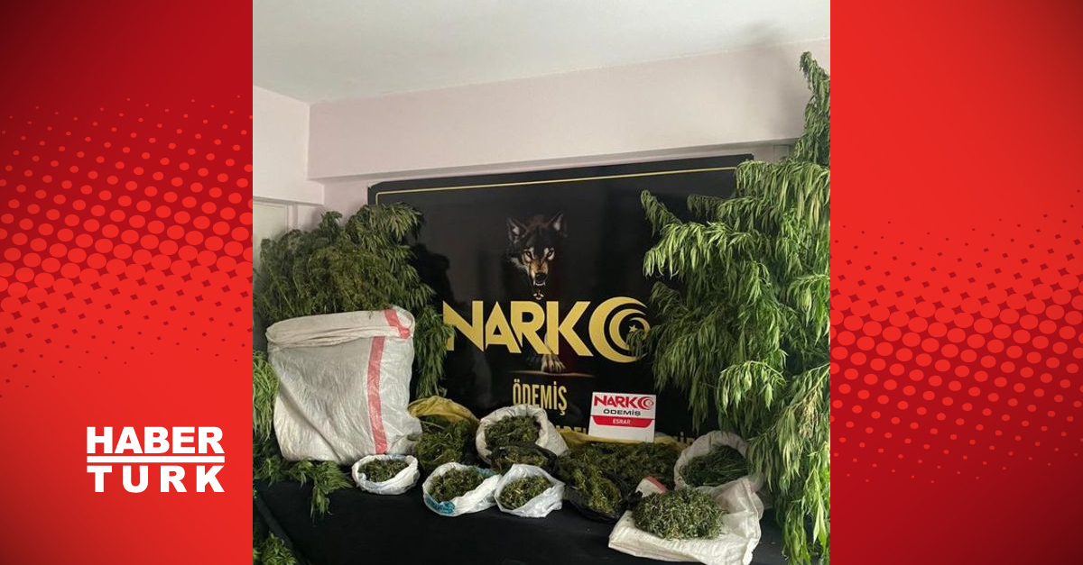 Evinde 10 kilogram esrar ele geçirilen zanlı tutuklandı