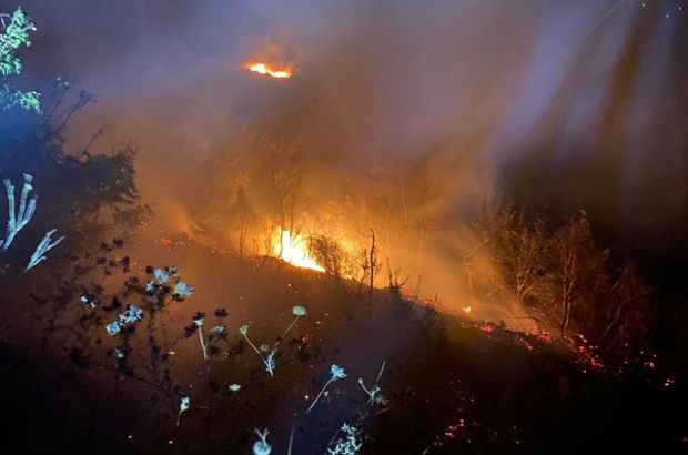 Hatay'da tarım arazisinde korkutan yangın