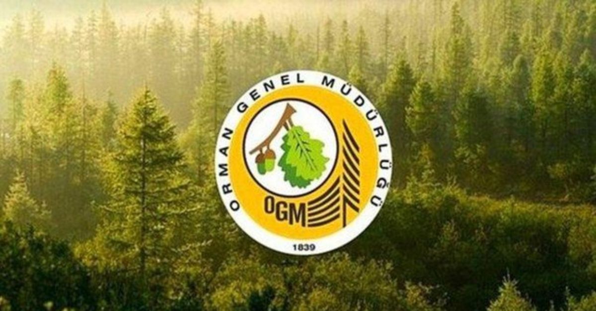 2022 OGM 338 işçi/personel alımı başvurusu nasıl yapılır, şartları neler?